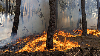 14 милиона лева ще бъдат отпуснати за техника и екипировка