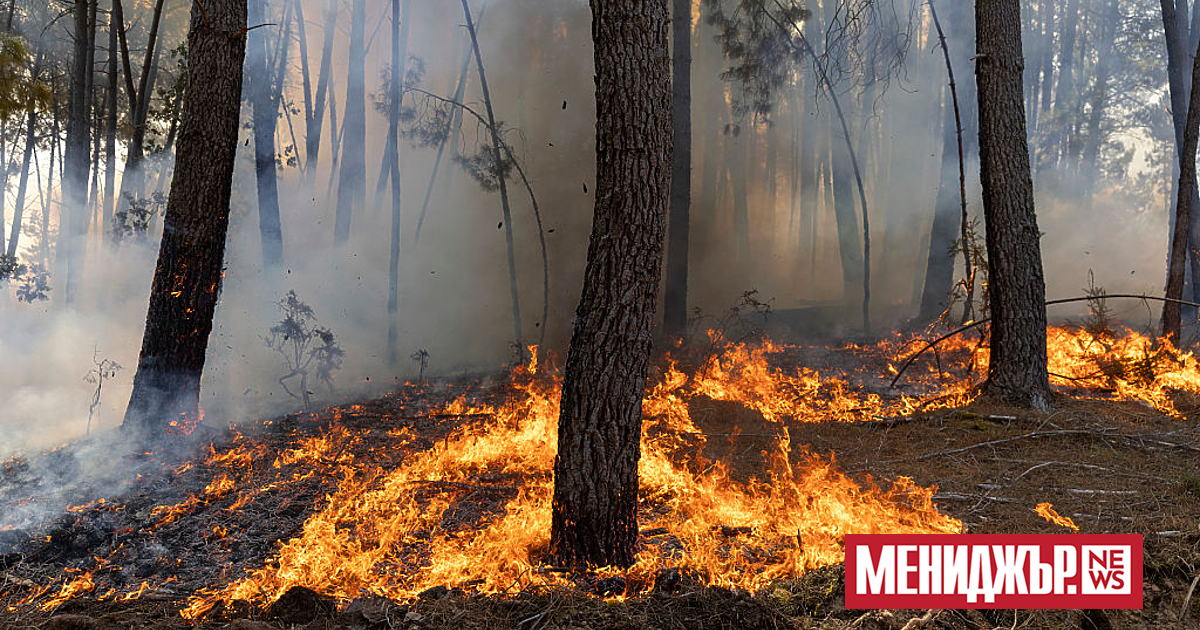 14 милиона лева ще бъдат отпуснати за техника и екипировка