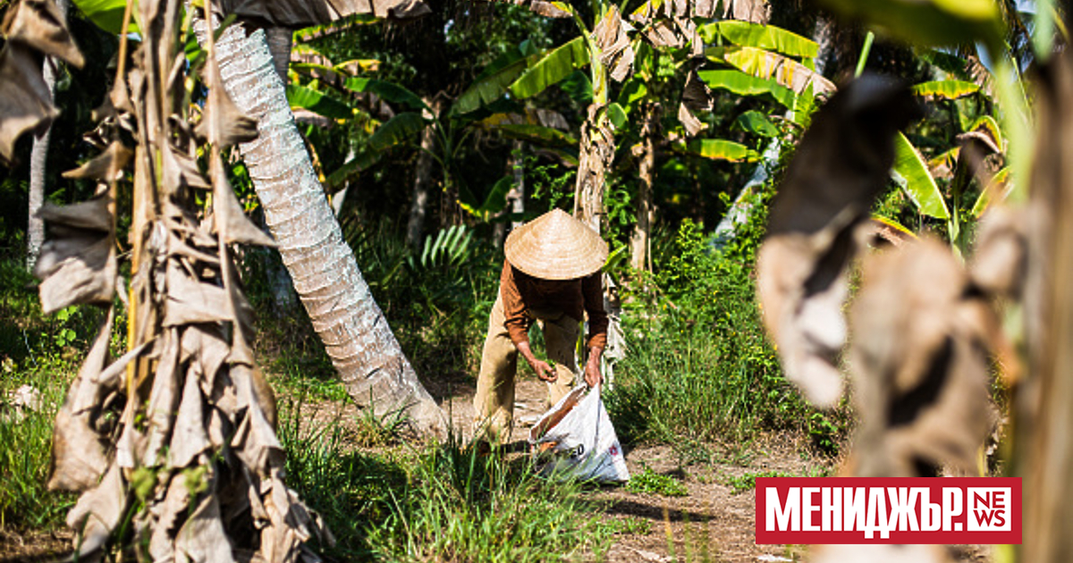 В провинция Хунг Йен в Северен Виетнам властите планират да