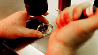 Технологичните лидери в Силициевата долина инвестират сериозно в създаването на