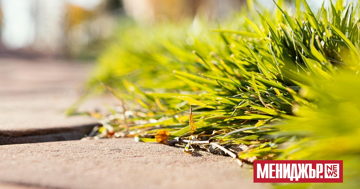 Всеки от нас усеща нуждата от повече природа около себе