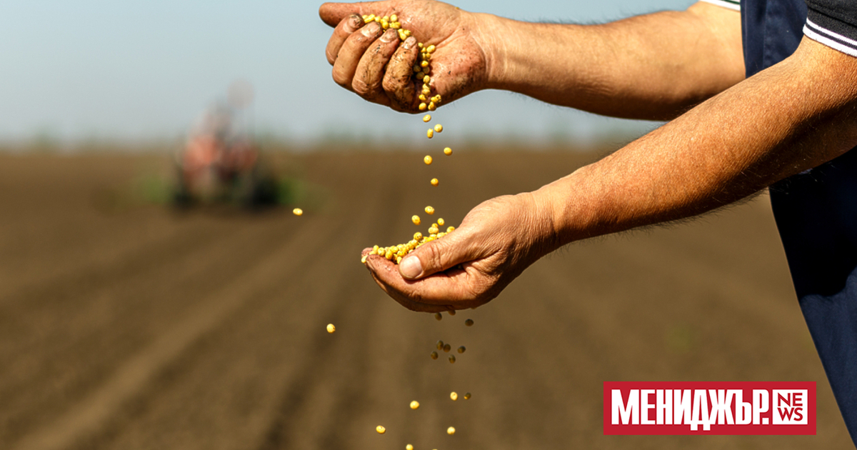 Германските фермери все по-често залагат на соя в отговор на