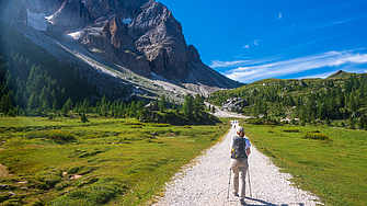 В продължение на десетилетия италианските семейства от всички региони на