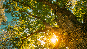 В събота 16 август ще бъде предимно слънчево След обяд