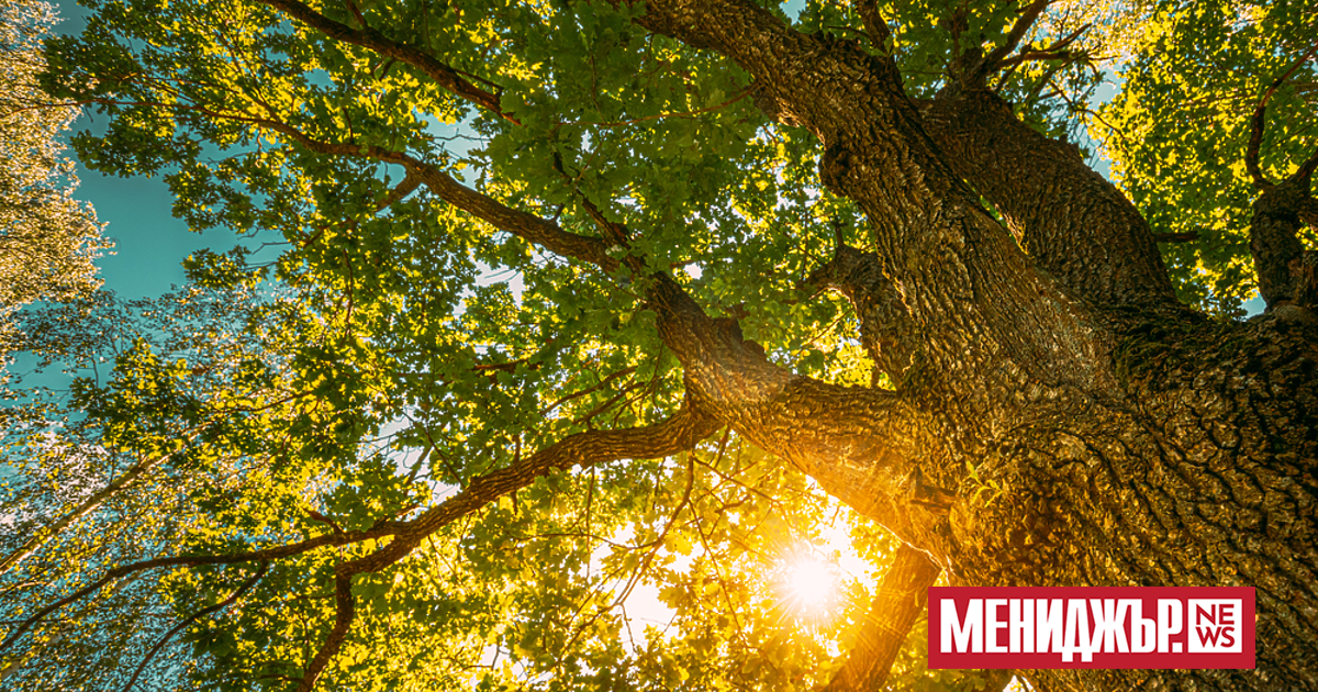 В събота, 16 август, ще бъде предимно слънчево. След обяд