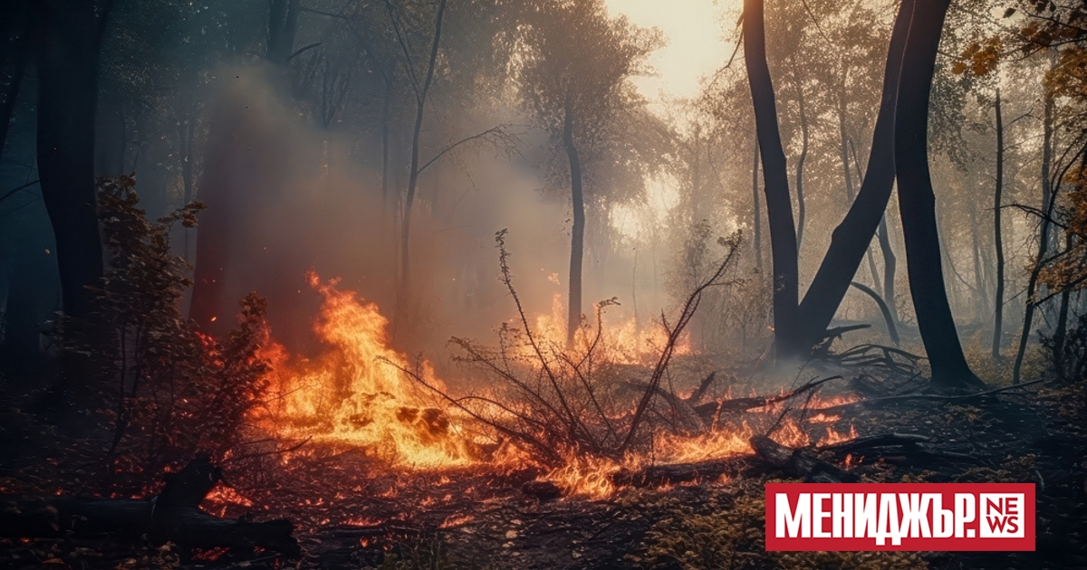 Вече имаме подадени 24 заявления за подпомагане от пострадали от