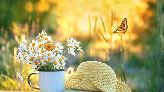 Най ниските температури през август ще бъдат между 12° и 17°