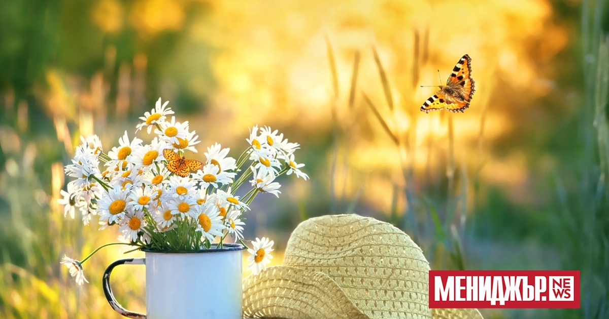 Най-ниските температури през август ще бъдат между 12° и 17°,