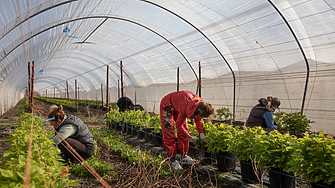 Земеделски производители и организации остро протестират срещу промяна в Кодекса