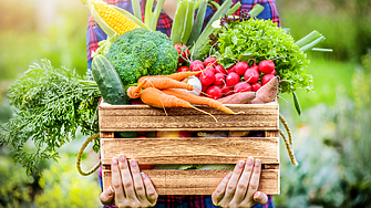 Цените на повечето плодове и зеленчуци в България отбелязват спад