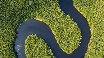 Ново научно изледване показва че разрушаването на Амазонските дъждовни гори
