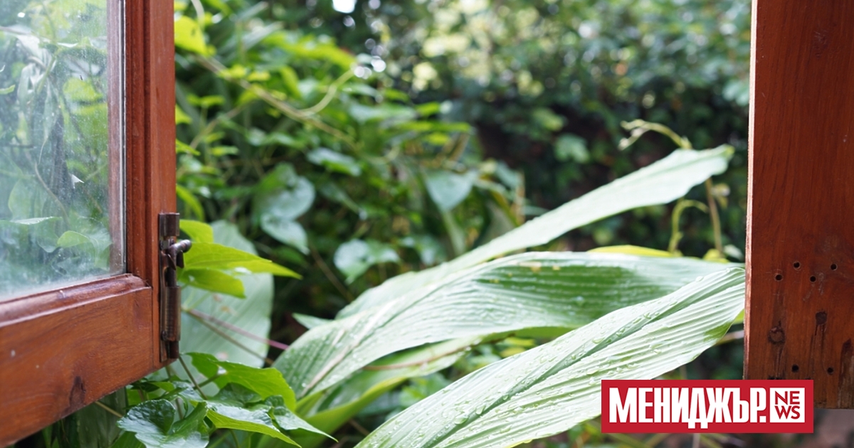 Облачността ще намалява и ще е предимно ясно. Ще духа