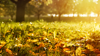Най високите температури през септември ще бъдат между 31° и 36°