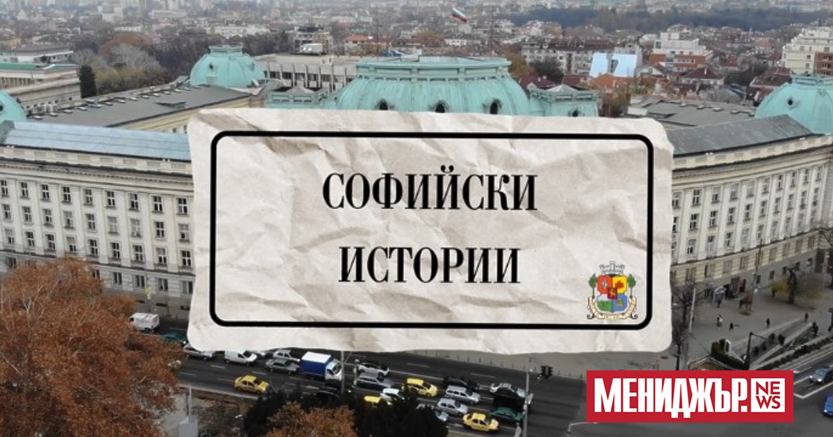 Възпитанието на домашния любимец много често е проблем, с който