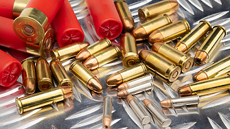 Австрийският парламент Националният съвет прие по строг закон за притежание на