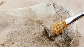 Националният исторически музей на Румъния е получил 5 7 милиона евро