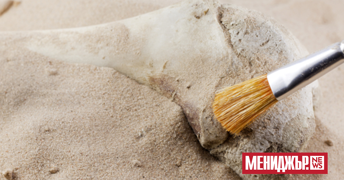 Националният исторически музей на Румъния е получил 5,7 милиона евро