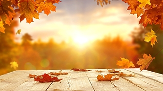 Времето в неделя ще бъде слънчево като преди обяд над