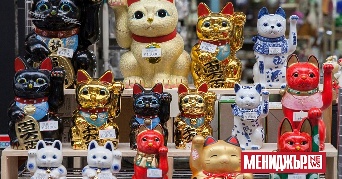 Япония е една от страните по света, където котките са