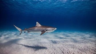 Австралийски учени са тествали нови материали които биха могли да