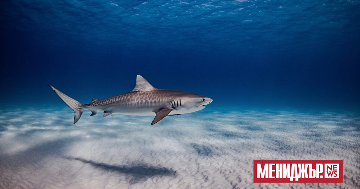 Австралийски учени са тествали нови материали, които биха могли да