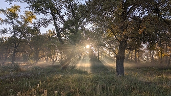 В петък 19 септември сутринта ще е хладна с минимални