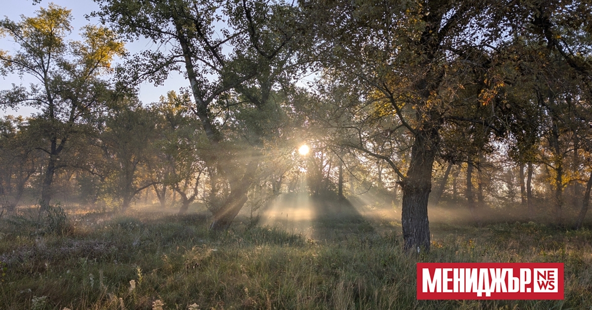 В петък, 19 септември, сутринта ще е хладна с минимални