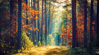 Времето в сряда 24 септември ще бъде предимно слънчево Преди