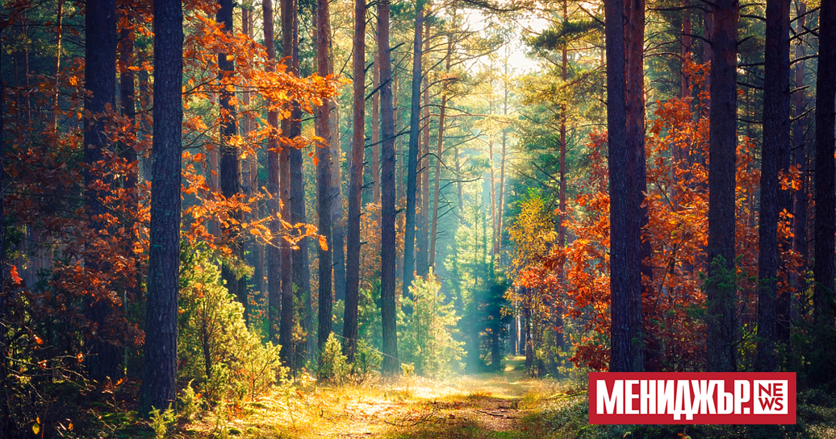 Времето в сряда (24 септември) ще бъде предимно слънчево. Преди