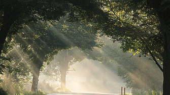 Във вторник 16 септември в сутрешните часове на места в