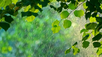 В сряда 17 септември в сутрешните часове в северозападните райони ще