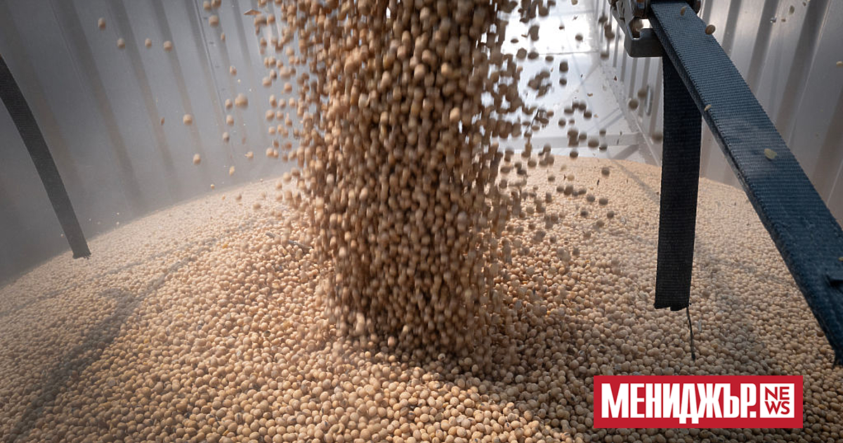 Китай не е внесъл соя от САЩ през септември, което