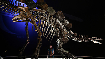 Един от най дългите маршрути със следи от динозавърски стъпки беше