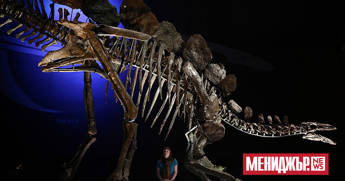 Един от най-дългите маршрути със следи от динозавърски стъпки беше