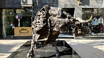 Новата динамика на българския капиталов пазар - тенденция или временно оживление? 