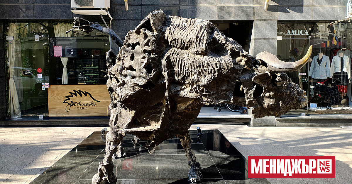 Изминалата 2025 г. със сигурност е една от най-позитивните в