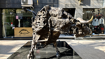 От beam до EuroBridge: Как се променя лицето на българския капиталов пазар?