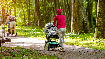 В периода между 2008 г и 2024 г средната раждаемост