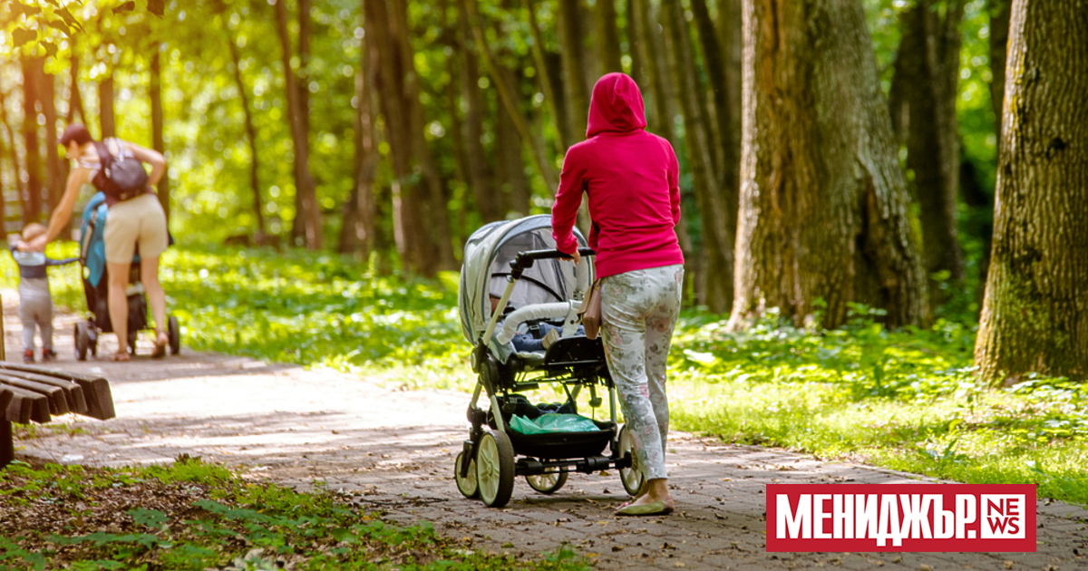 В периода между 2008 г. и 2024 г. средната раждаемост