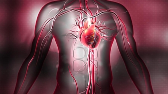 Ново проучване публикувано в разкрива че пациенти с определена аномалия
