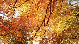 До сутринта над по голямата част от страната облачността ще е