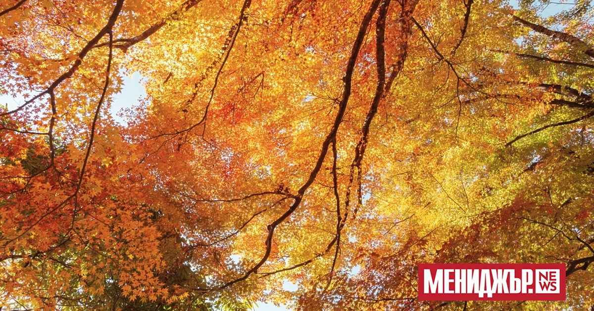 До сутринта над по-голямата част от страната облачността ще е