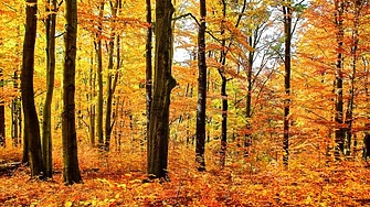 В събота 25 октомври след временно разкъсване и намаление над