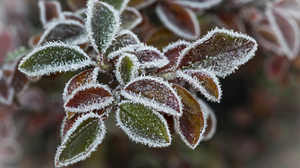 Във вторник 21 октомври преди обяд ще бъде предимно слънчево