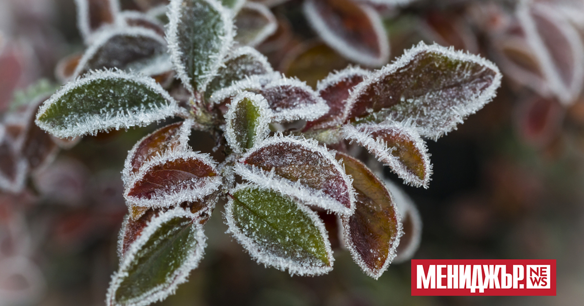 Във вторник, 21 октомври, преди обяд ще бъде предимно слънчево.