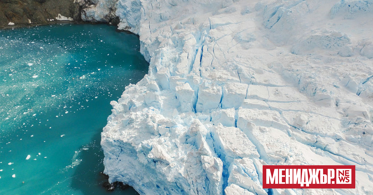 Антарктическият ледник Хектория се е свил с почти 50% само