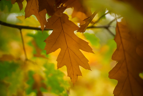 Слънце и високи температури в края на уикенда