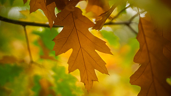 Слънце и високи температури в края на уикенда