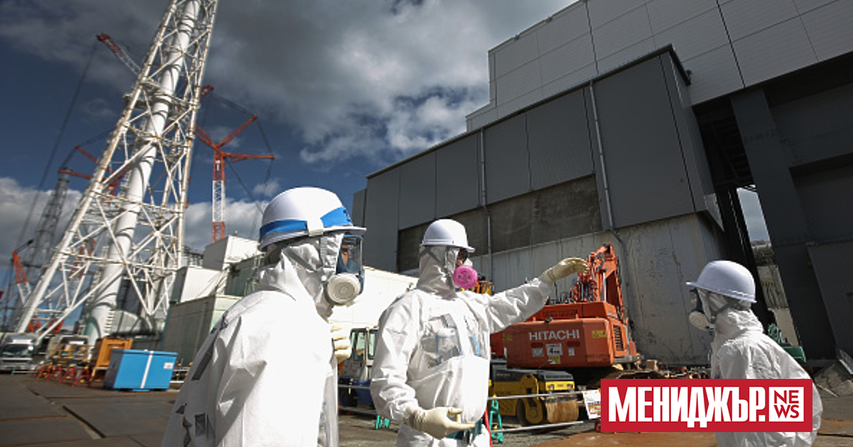 Японското правителство обяви възобновяването на износа на морски дарове за