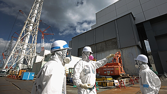 След двегодишно прекъсване: Япония възобнови износа на морски дарове за Китай 